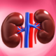 TOP 10 NEPHROLOGY COMPANIES IN INDIA