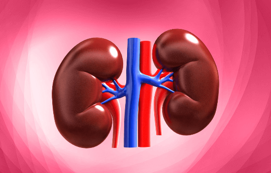 TOP 10 NEPHROLOGY COMPANIES IN INDIA