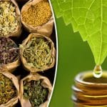 Top 10 Ayurvedic Medicine Manufacturing Companies in India