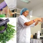 Top 10 Ayurvedic Third Party Manufacturing Companies In India