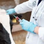 Top 10 Veterinary PCD Franchise Companies In India