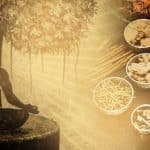 Top 10 Ayurvedic Companies in Bangalore Top 10 Ayurvedic Companies in Bangalore