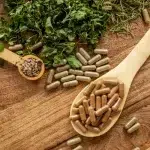 Top 10 Ayurvedic Companies In Gujarat