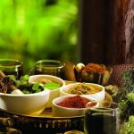 Top 10 Ayurvedic Companies In Haridwar